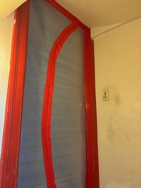 Mold Pic 3