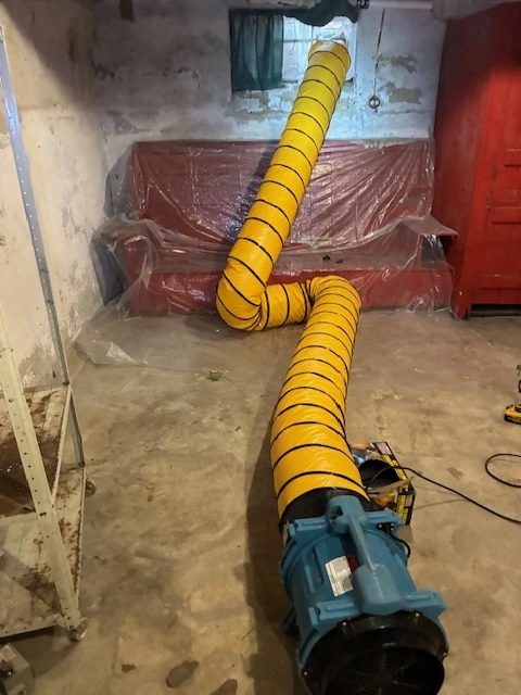 Mold Pic 4