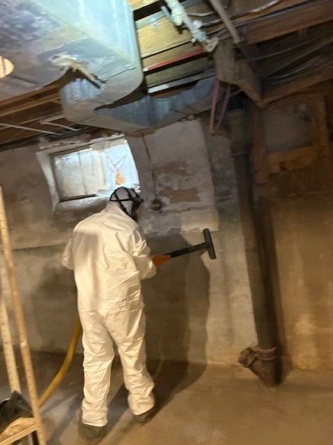 Mold pic 5