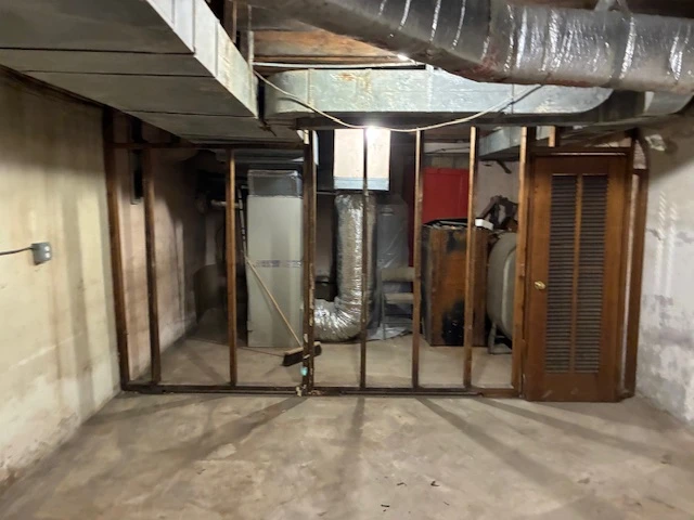 Mold pic 6