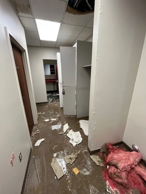 Pic 5