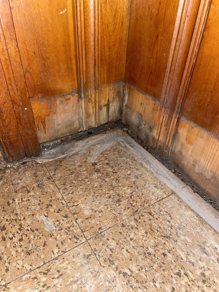 Pic 5