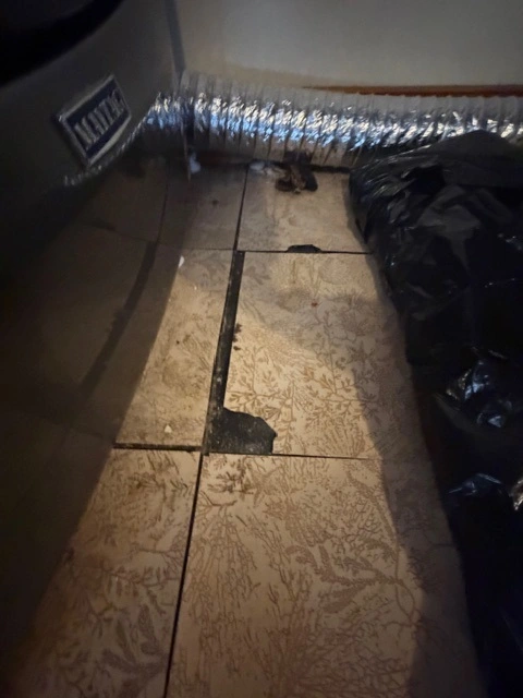 Pic 6